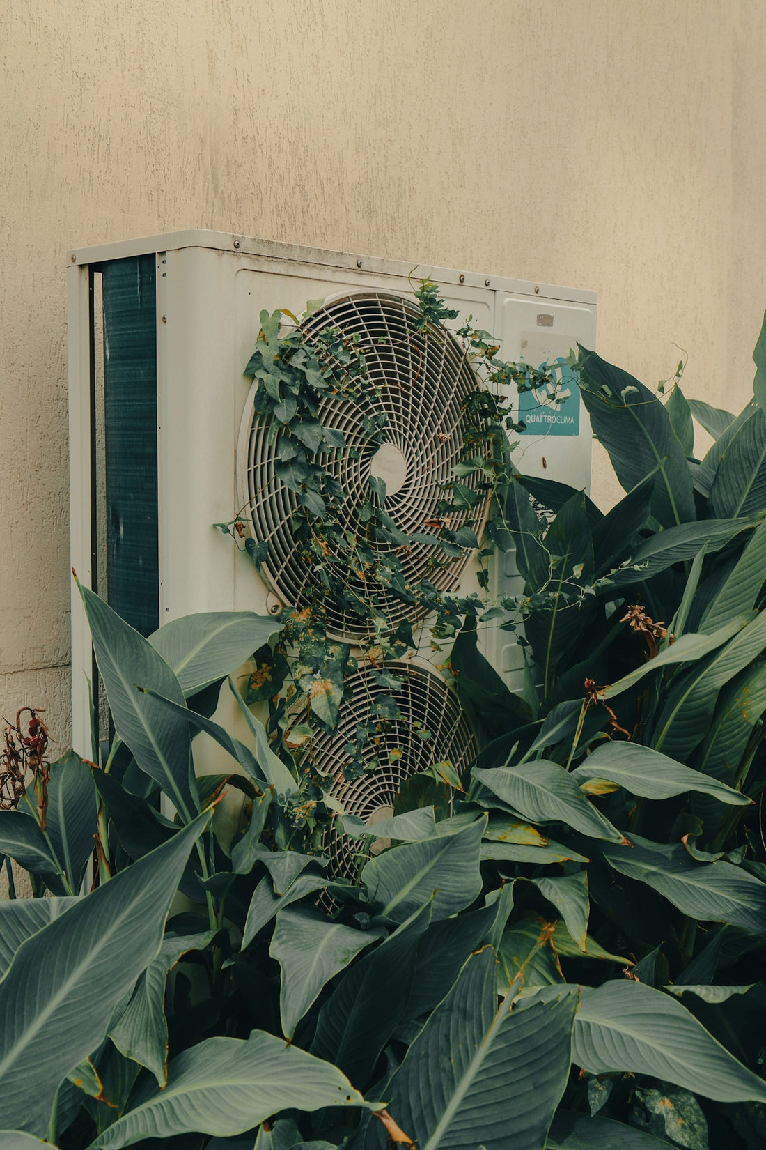 A air conditioner sitting next to a bunch of plants